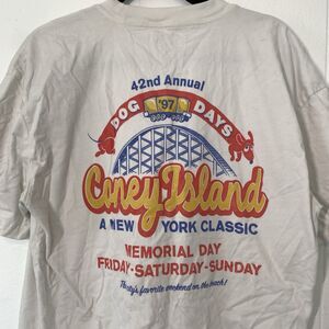 Hollister Mens Large T-Shirt Graphic Boxy Coney Island Dog Days Rollercoaster